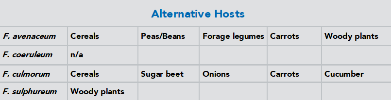 Table of alternative fusarium hosts