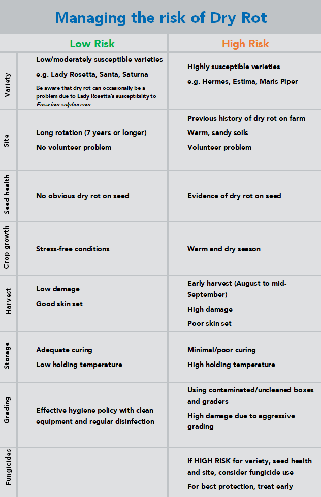 table of risk factors